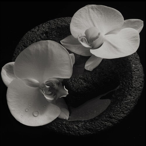 Mike Patton: Corpse Flower { Vinyl }