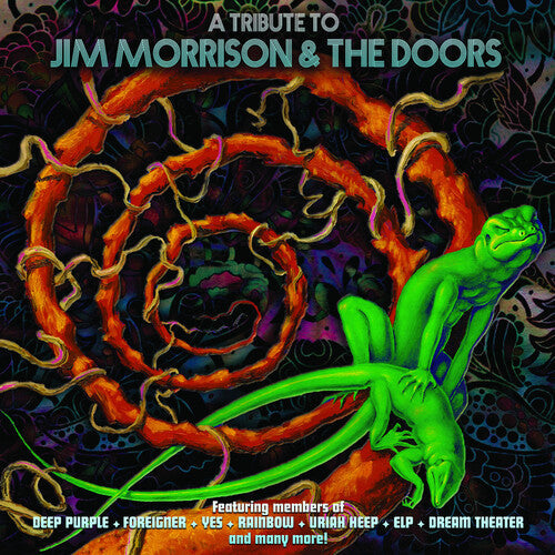 Various Artists: A Tribute To Jim Morrison & The Doors (Various Artists) { Vinyl }