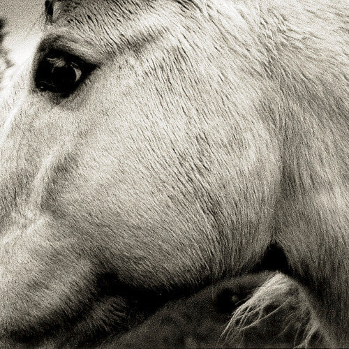 Bonny Light Horseman: Bonny Light Horseman { Vinyl }