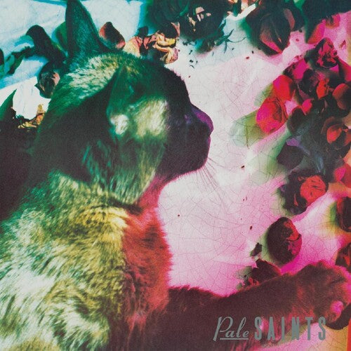 Pale Saints: Comforts Of Madness { Vinyl }