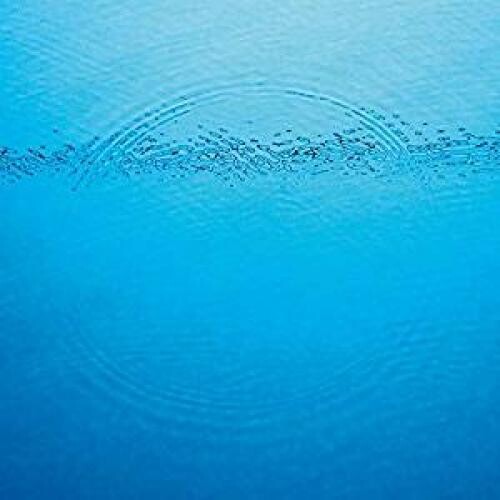 Caribou: Suddenly { Vinyl }