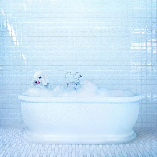 Frankie Cosmos: Vessel { Vinyl }