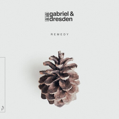 Gabriel & Dresden: Remedy { Vinyl }