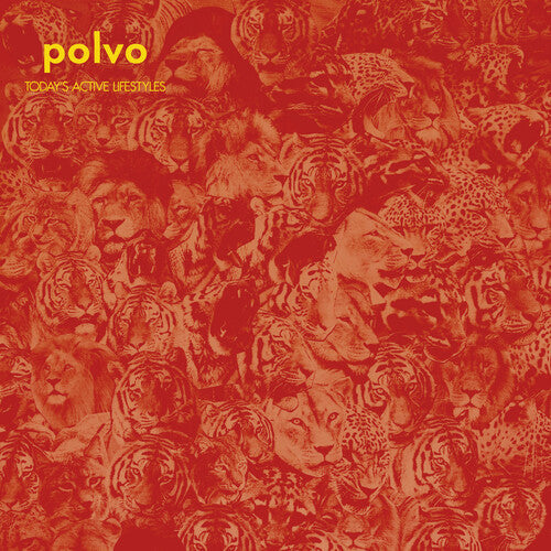 Polvo: Today's Active Lifestyles { Vinyl }