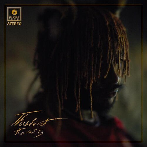 Thundercat: It Is What It Is { Vinyl }