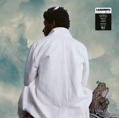 Labrinth: Imagination & The Misfit Kid { Vinyl }
