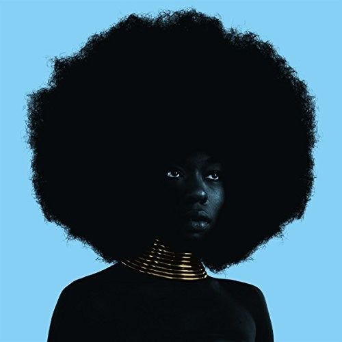 Sudan Archives: Sink { Vinyl }