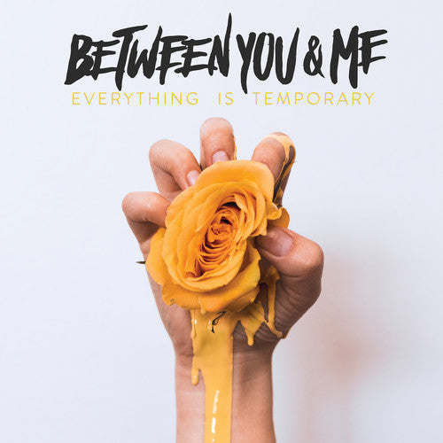 Between You & Me: Everything Is Temporary { Vinyl }