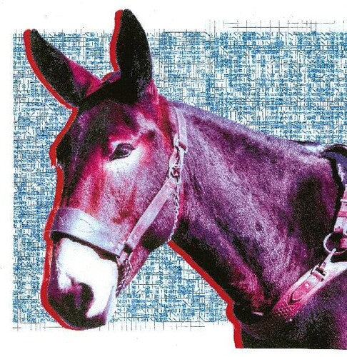 Protomartyr: Ultimate Success Today { Vinyl }