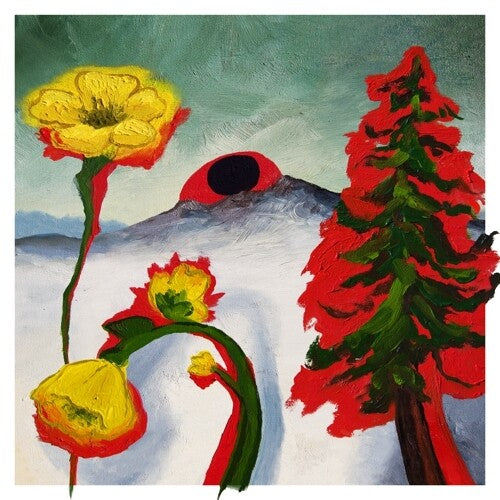 Woods: Strange To Explain { Vinyl }