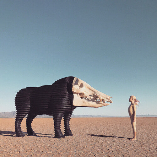 Man Man: Dream Hunting In The Valley Of The In-between { Vinyl }