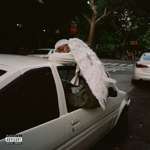 Blood Orange: Negro Swan { Vinyl }