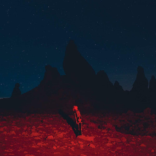 Phoebe Bridgers: Punisher { Vinyl }
