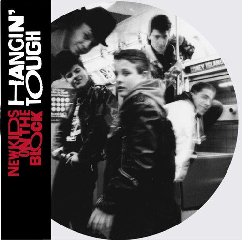New Kids on the Block / Nkotb: Hangin' Tough (Ltd Picture Disc) { Vinyl }