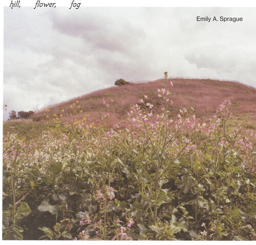 Emily a Sprague: Hill, Flower, Fog { Vinyl }