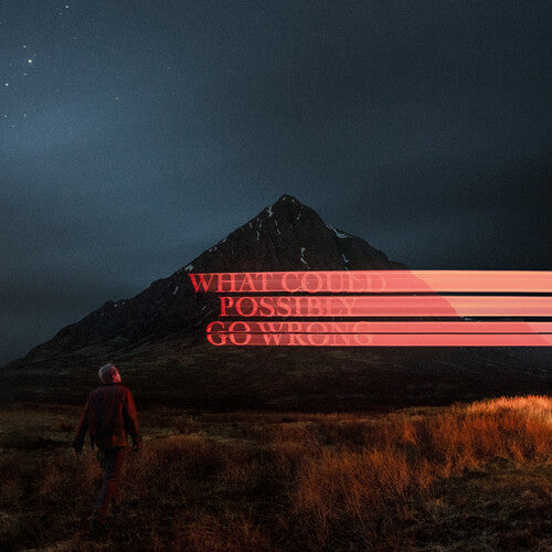 Dominic Fike: What Could Possibly Go Wrong { Vinyl }
