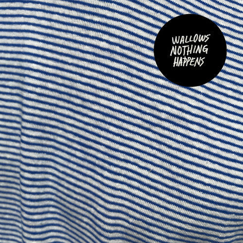 Wallows: Nothing Happens { Vinyl }