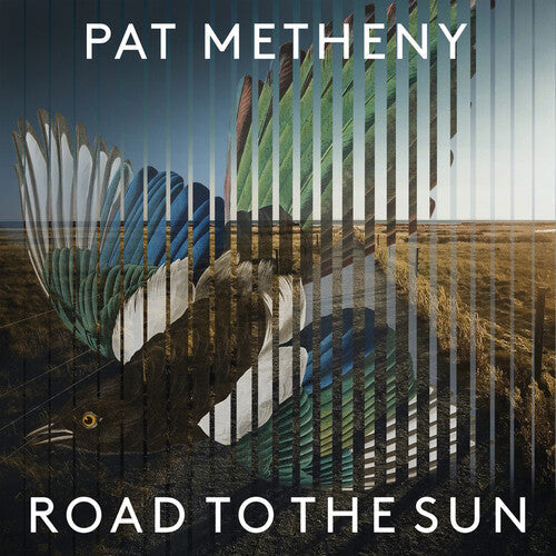 Pat Metheny: Road To The Sun { Vinyl }