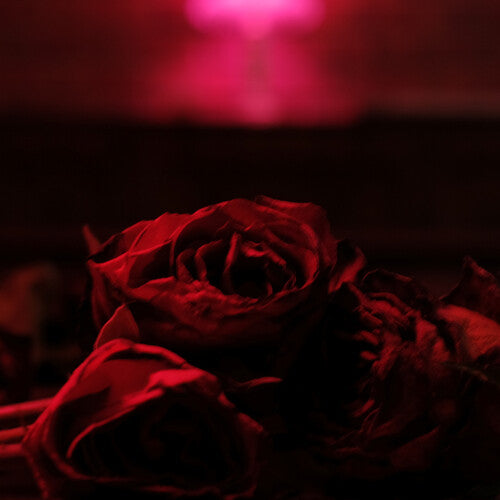 The Paper Kites: Roses { Vinyl }
