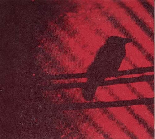 A Silver Mt. Zion: Born Into Trouble As the Sparks Fly Upward { Vinyl }
