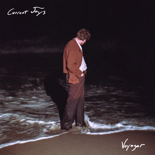 Current Joys: Voyager { Vinyl }