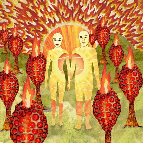 Of Montreal: The Sunlandic Twins { Vinyl }