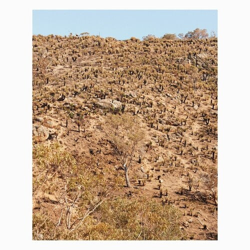 Andrew Pekler: Palimpsests { Vinyl }