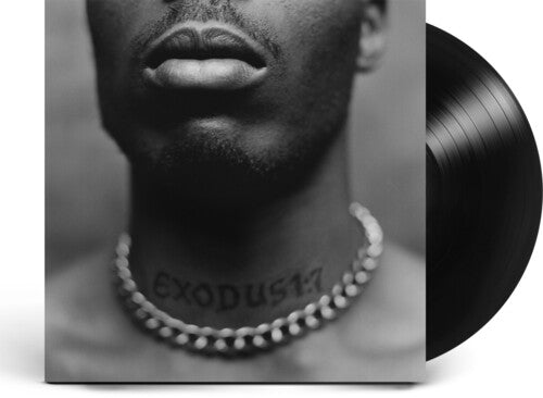 DMX: Exodus { Vinyl }