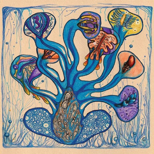 Houeida Hedfi: Fleuves de l'Ame { Vinyl }