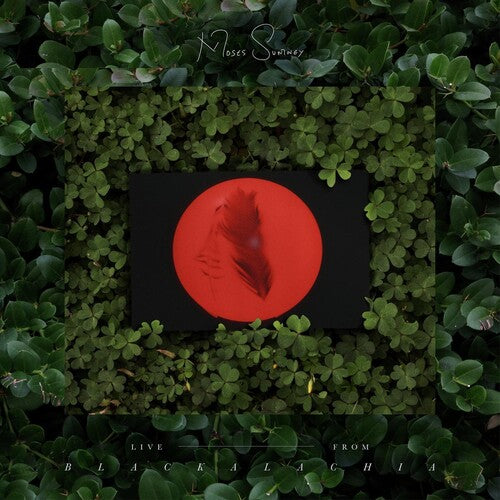 Moses Sumney: Live From Blackalachia (Clear Green) { Vinyl }