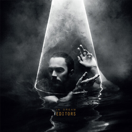 Editors: In Dream { Vinyl }