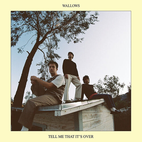Wallows: Tell Me That It's Over { Vinyl }