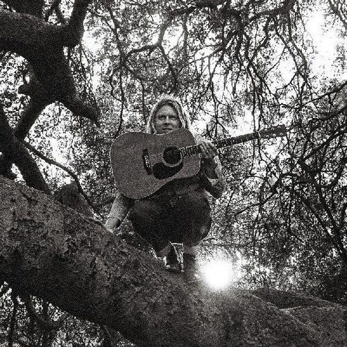Ty Segall: Hello Hi { Vinyl }