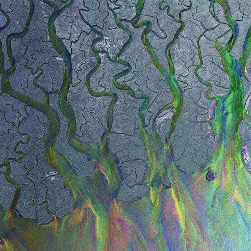 Alt-J: Awesome Wave { Vinyl }