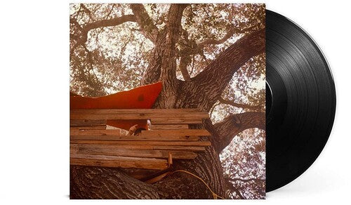 Backseat Lovers: Waiting To Spill { Vinyl }