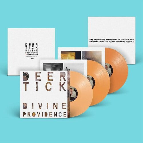Deer Tick: Divine Providence { Vinyl }