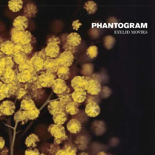 Phantogram: Eyelid Movies { Vinyl }