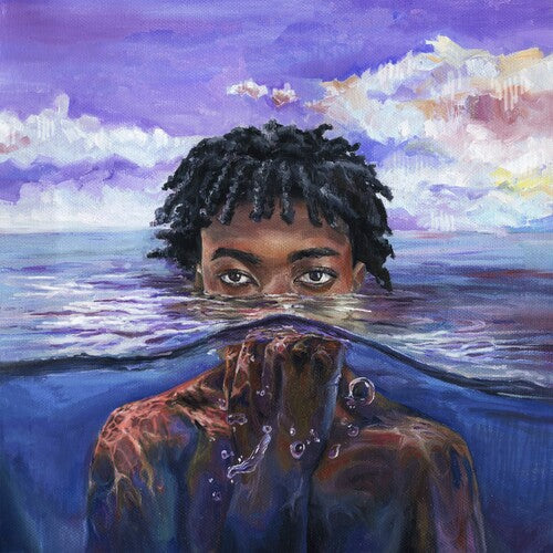 Redveil: LEARN 2 SWIM { Vinyl }