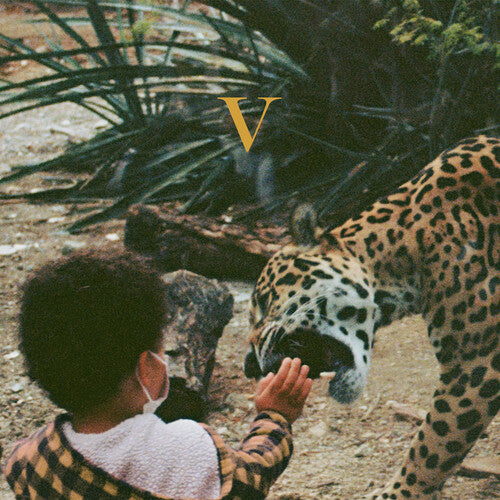 Unknown Mortal Orchestra: V { Vinyl }