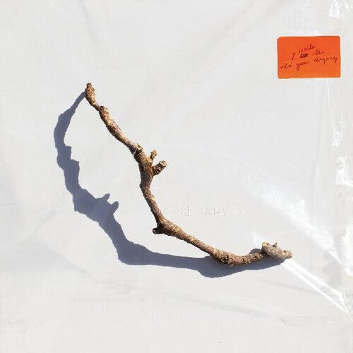 PJ Harvey: I Inside The Old Year Dying { Vinyl }