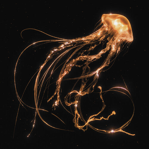 Royal Blood: Back To The Water Below { Vinyl }