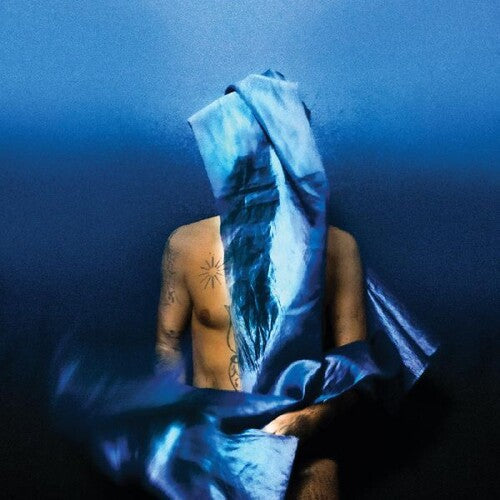 Devendra Banhart: Flying Wig { Vinyl }