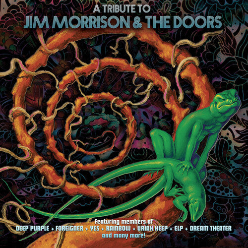 Various Artists: Tribute To Jim Morrison & The Doors (Various Artists) { Vinyl }