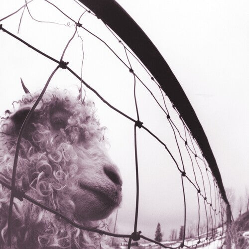 Pearl Jam: Vs. (30th Anniversary Edition) { Vinyl }