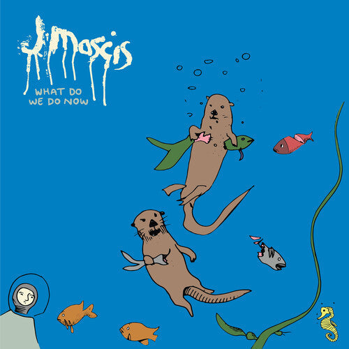 J Mascis: What Do We Do Now { Vinyl }