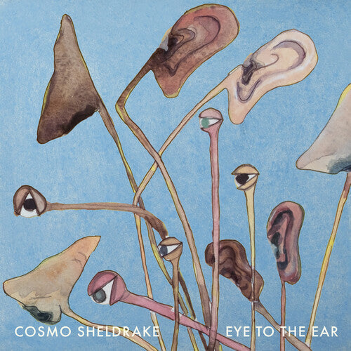 Cosmo Sheldrake: Eye to the Ear { Vinyl }