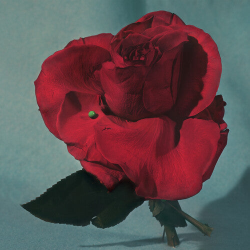 METZ: Up on Gravity Hill - Clear w/ Red { Vinyl }
