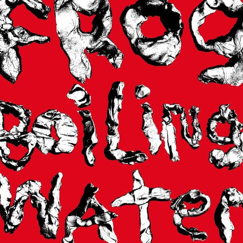 DIIV: Frog In Boiling Water { Vinyl }