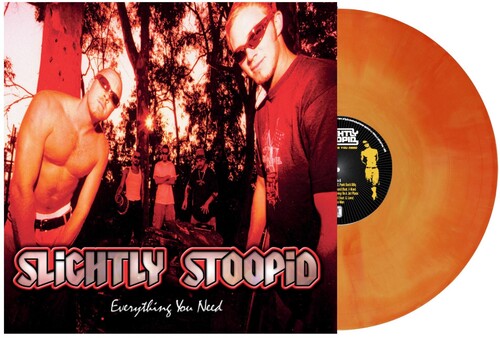 Slightly Stoopid: Everything You Need { Vinyl }