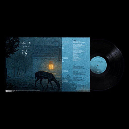 Dermot Kennedy: I've Told The Trees Everything { Vinyl }